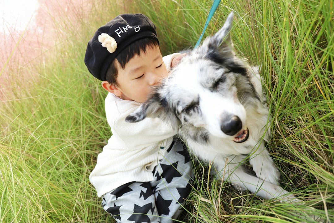 애견동반카페 참고 이미지 2