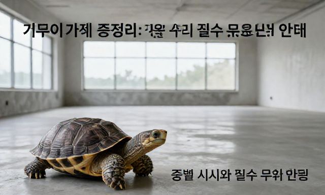 거북이가격 관련 이미지 - 거북이 가격 총정리: 종별 시세와 필수 유지 비용 안내