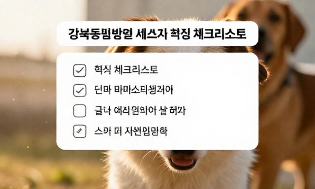 강북동물병원 관련 이미지 - 강북동물병원 선택 전 꼭 따져봐야 할 세 가지 핵심 체크리스트