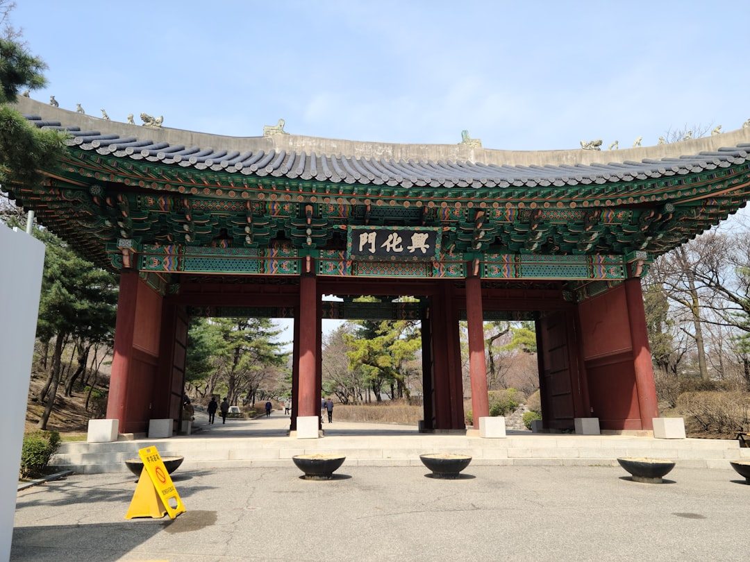 일산애견미용학원 참고 이미지 2