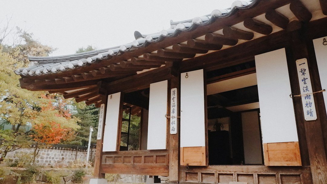 강아지경매장 참고 이미지 2