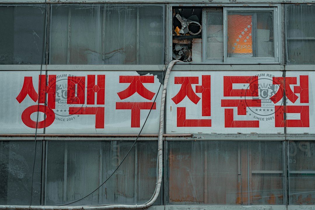 애견호텔창업 참고 이미지 2